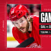 Preview: Red Wings look to even season series against visiting Dallas