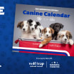 2025 Caps Canine Calendar Now Available for Purchase