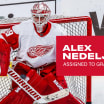 Red Wings assign Alex Nedeljkovic to Grand Rapids