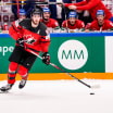 3 Kings To Participate in 2024 IIHF World Championships