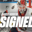 Islanders Agree to Terms with Hogberg