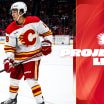Projected Lineup - Flames @ Ducks - 04.04.26