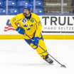 Anton Frondell | Prospect Profile