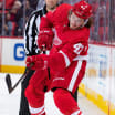 Red Wings assign Libor Sulak to Grand Rapids