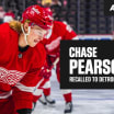 Red Wings recall Chase Pearson from Griffins