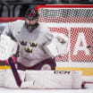 NHLsv tippar hockey vm