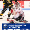 Prospects Update | Levi named Hockey East Rookie of the Week again