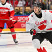 Islanders at 2025 IIHF World Championship