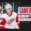 Preview: Red Wings begin weekend back-to-back Friday at Lightning