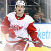 Red Wings assign Joe Hicketts to Grand Rapids