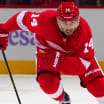 Notes: Fabbri helping make second line more dangerous for Wings