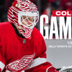 PREVIEW: Red Wings battle visiting Avalanche in Saturday matinee