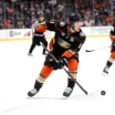 Drei Fragen Anaheim Ducks Saison 2024-25