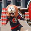 Senators Participate in 2025 Tim Hortons Camp Day