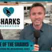 State of the Sharks: Sharks Foundation Rebranding 