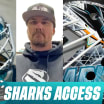Sharks Access: Shifty