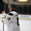 VGK Prospect Questionnaire: Alexander Weiermair