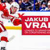 Red Wings assign Jakub Vrana to Grand Rapids for conditioning