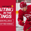 Waiting in the Wings | Defenseman prospect Axel Sandin Pellikka has high expectations for himself