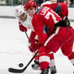 Larkin gets right to work for Wings