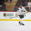 VGK Prospect Questionnaire: Viliam Kmec