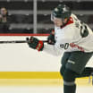 MINNESOTA WILD RECALLS FORWARD MICHAEL MILNE FROM IOWA 110624