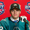 Sharks sign defenseman Mattias Hävelid