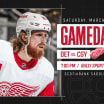Preview: Red Wings begin Western Canada road trip at Calgary on Saturday