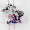 Inför Stanley Cup-slutspelet Western Conference