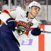 Tkachuk to have hearing for actions in Panthers game