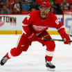 Red Wings recall Frk and Chelios under emergency conditions