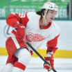 Tyler Bertuzzi undergoes successful back surgery