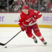 Red Wings 2022-23 Wrap-Up: Lucas Raymond