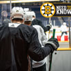Need to Know: Bruins at Predators