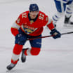 Tomáš Nosek před svým druhým finále Stanley Cupu