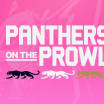 ‘It's a very powerful presence’: Panthers on the Prowl sculptures to be on display during Pink in the Rink Night