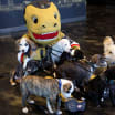 VGK, Friends of Henderson Animal Support Partner for Pet Adoption Event on Wednesday, December 18