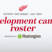 Red Wings release 2023 development camp roster