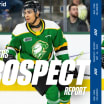 Islanders Prospect Report: May 14, 2024