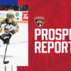 Panthers Prospect Report: November 29, 2023