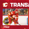 Flames Re-Sign Ilya Solovyov