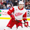 32 en 32 Red Wings Detroit poolers projections 2025-26