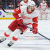 Larkin fined $5,000 for actions in Red Wings game