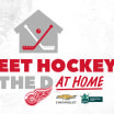 "Street Hockey in the D at Home" Added to Learn, Play, Score Program