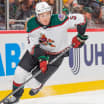 Michael Kesselring fined maximum for actions in Arizona Coyotes game