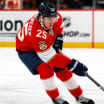 Florida Panthers top prospects for 2024-25 season 32 in 32