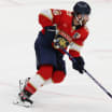 Florida Panthers fantasy projections for 2024-25 season 32 in 32