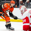 Detroit Red Wings Anaheim Ducks game recap November 15