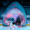 San Jose Sharks continue commitment to sustainability