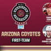 Arizona Coyotes Quarter-Century teams